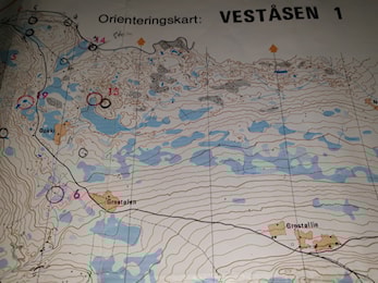 Treningsløp Veståsen 1 Torvmyre